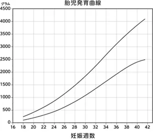 胎児発育曲線のグラフ