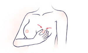 乳頭・乳輪マッサージのイラスト