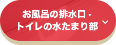 お風呂の排水口・トイレの水たまり部