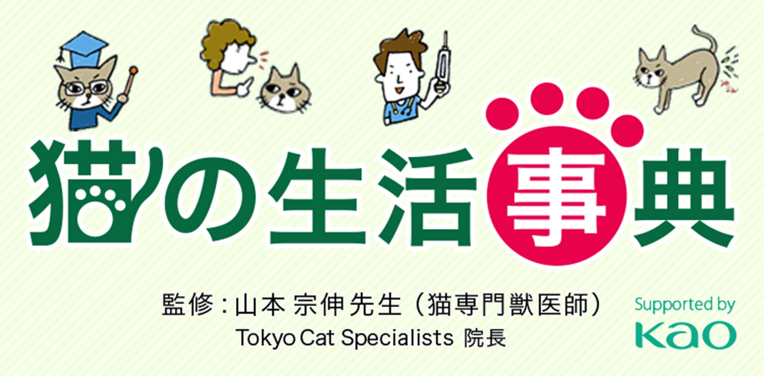 猫を飼う準備 グッズ 猫の生活事典 ニャンとも清潔トイレ 花王株式会社 猫を飼う準備 グッズ 猫の生活事典 ニャンとも清潔トイレ 花王株式会社