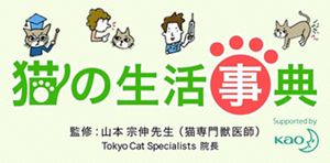 猫のほめ方・叱り方｜猫の生活事典｜ニャンとも清潔トイレ｜花王株式会社