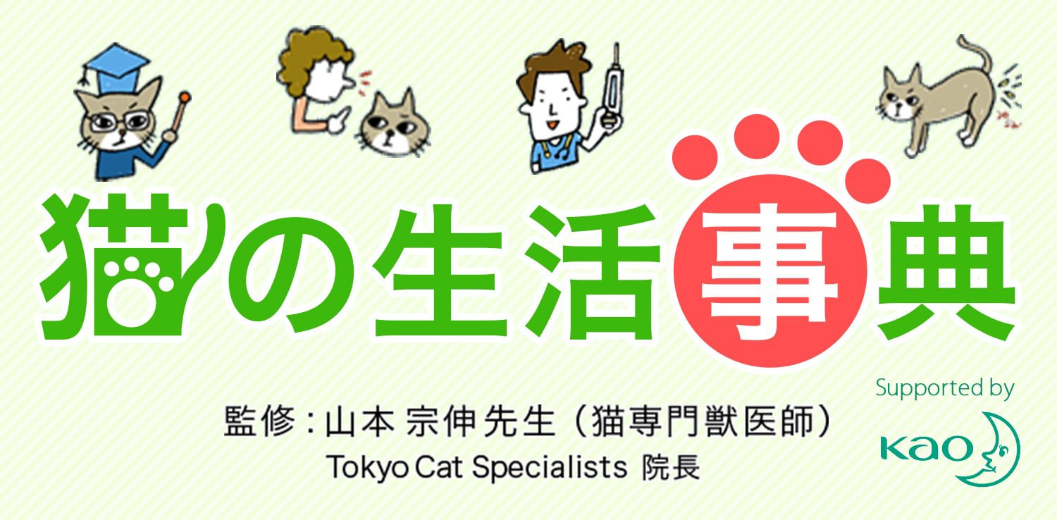 猫のほめ方 叱り方 猫の生活事典 ニャンとも清潔トイレ 花王株式会社