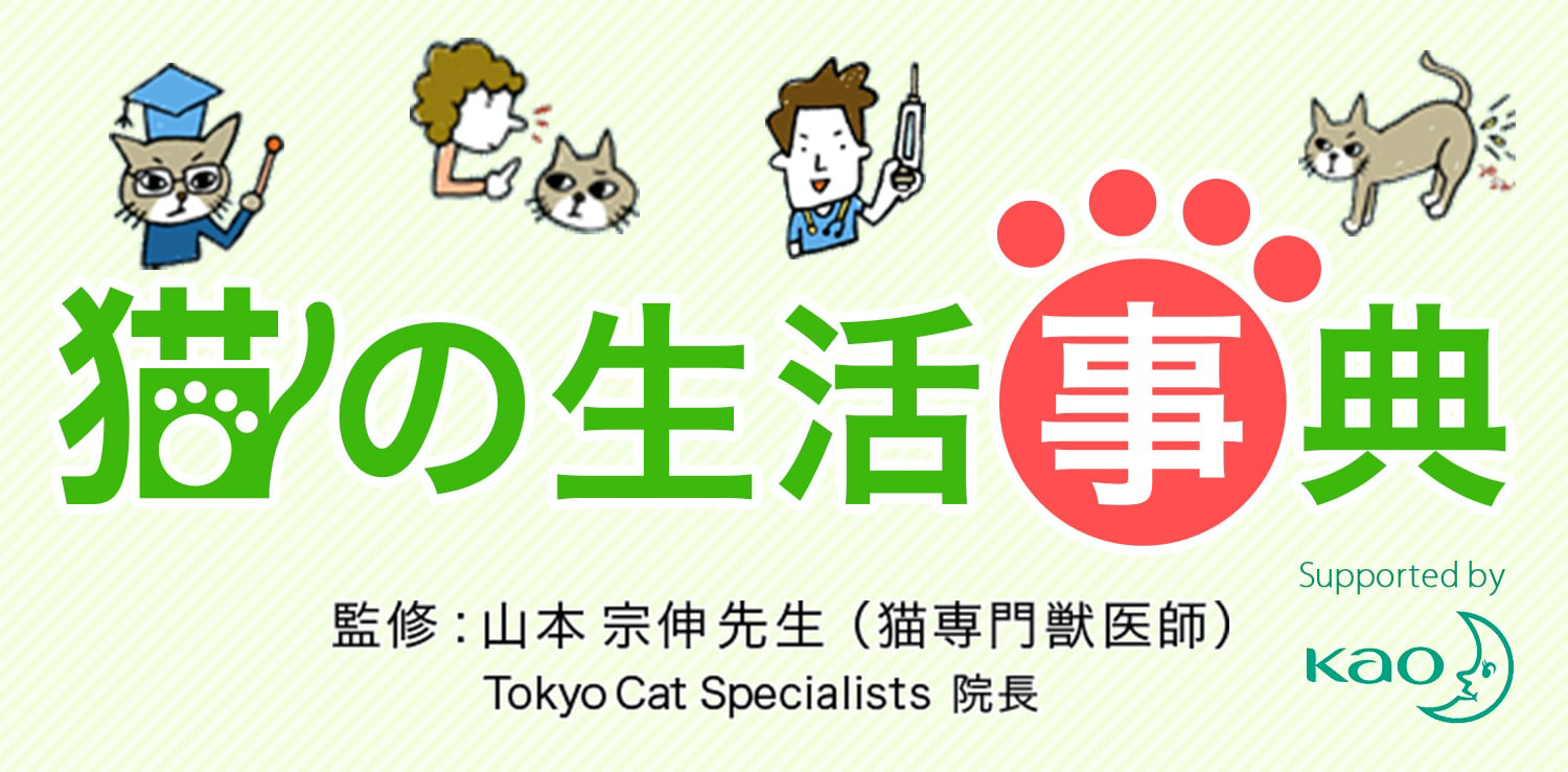 猫の体臭とトイレのニオイ対策 猫の生活事典 ニャンとも清潔トイレ 花王株式会社