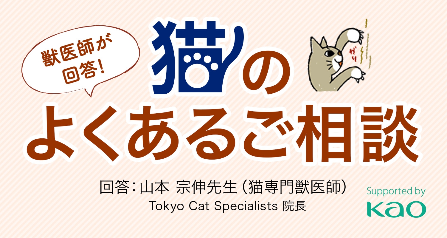 毎日 猫が朝方に鳴く 猫のよくあるご相談 ニャンとも清潔トイレ 花王 毎日 猫が朝方に鳴く 猫のよくあるご相談 ニャンとも清潔トイレ 花王