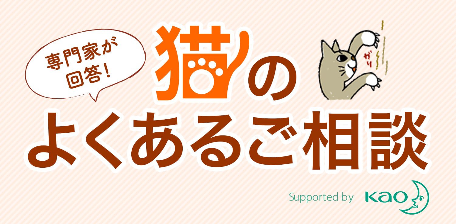 去勢したのに猫が激しく鳴く 猫のよくあるご相談 猫と暮らすお役立ち情報 ニャンとも清潔トイレ 花王株式会社