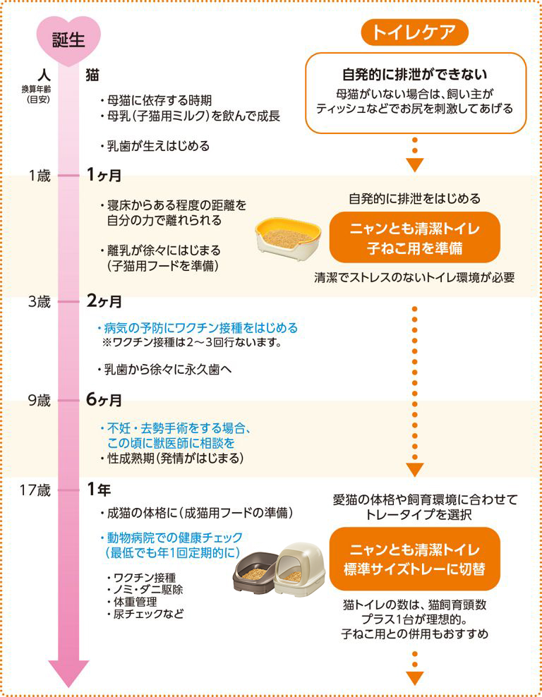 子猫の育て方 トイレのしつけ 獣医師監修 ニャンとも清潔トイレ猫用システムトイレ 花王株式会社 子猫の育て方 トイレのしつけ 獣医師監修 ニャンとも清潔トイレ猫用システムトイレ 花王株式会社
