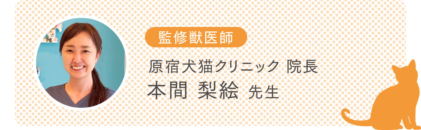 冬は寒さ対策が大事 愛猫の冬の健康を守る３つのポイント ニャンとも清潔トイレ 花王株式会社