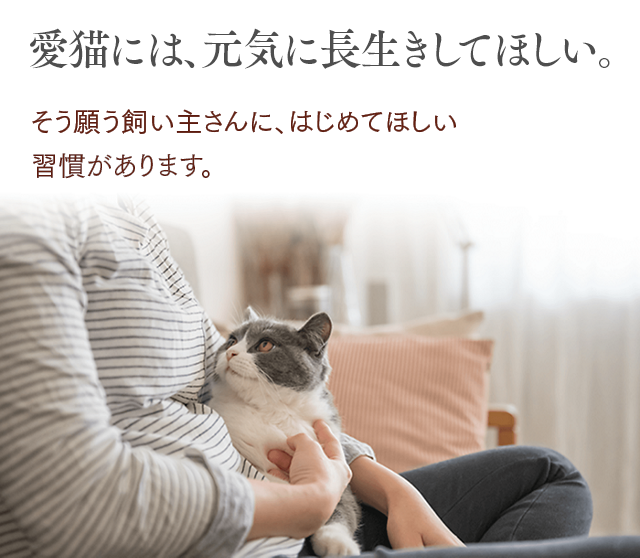 自宅でできるオシッコチェック ニャンとも清潔トイレ 猫用システムトイレ 花王株式会社 自宅でできるオシッコチェック ニャンとも清潔トイレ 猫用システムトイレ 花王株式会社