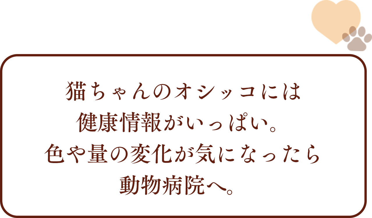 自宅でできるオシッコチェック ニャンとも清潔トイレ 猫用システムトイレ 花王株式会社 自宅でできるオシッコチェック ニャンとも清潔トイレ 猫用システムトイレ 花王株式会社