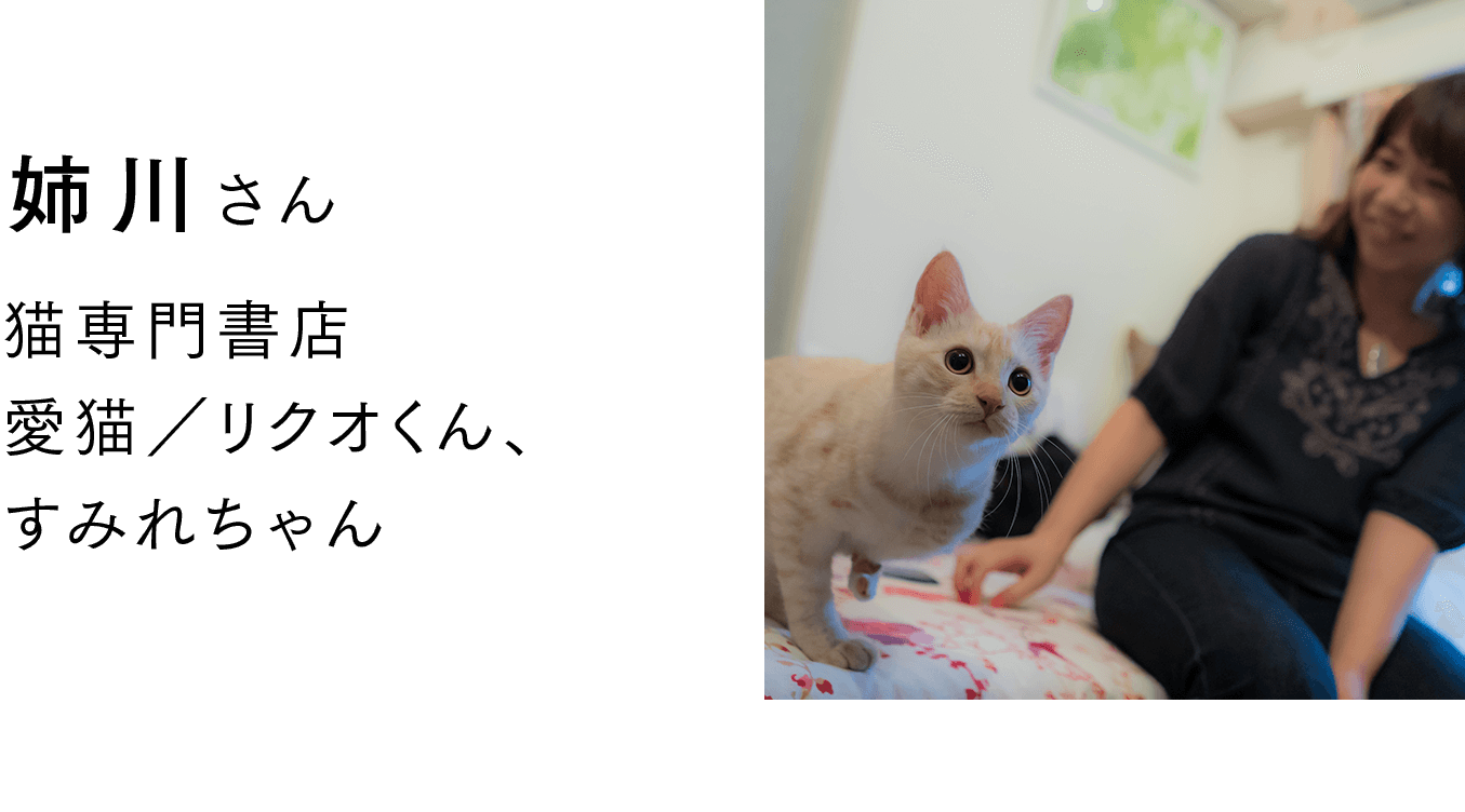 ニャンともサポーターズ お祝いメッセージ ニャンとも清潔トイレ 猫用システムトイレ 花王株式会社 ニャンともサポーターズ お祝いメッセージ ニャンとも清潔トイレ 猫用システムトイレ 花王株式会社