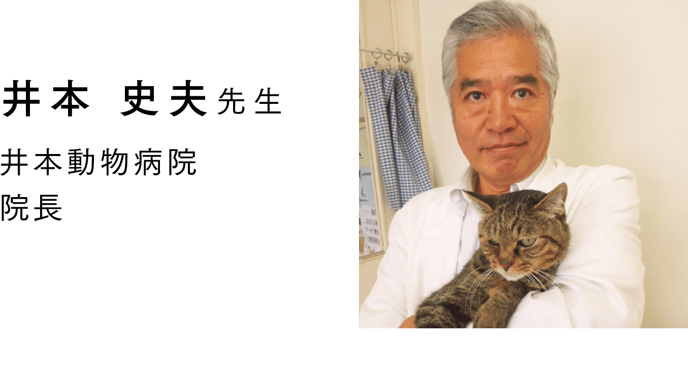ニャンともサポーターズ お祝いメッセージ ニャンとも清潔トイレ 猫用システムトイレ 花王株式会社 ニャンともサポーターズ お祝いメッセージ ニャンとも清潔トイレ 猫用システムトイレ 花王株式会社