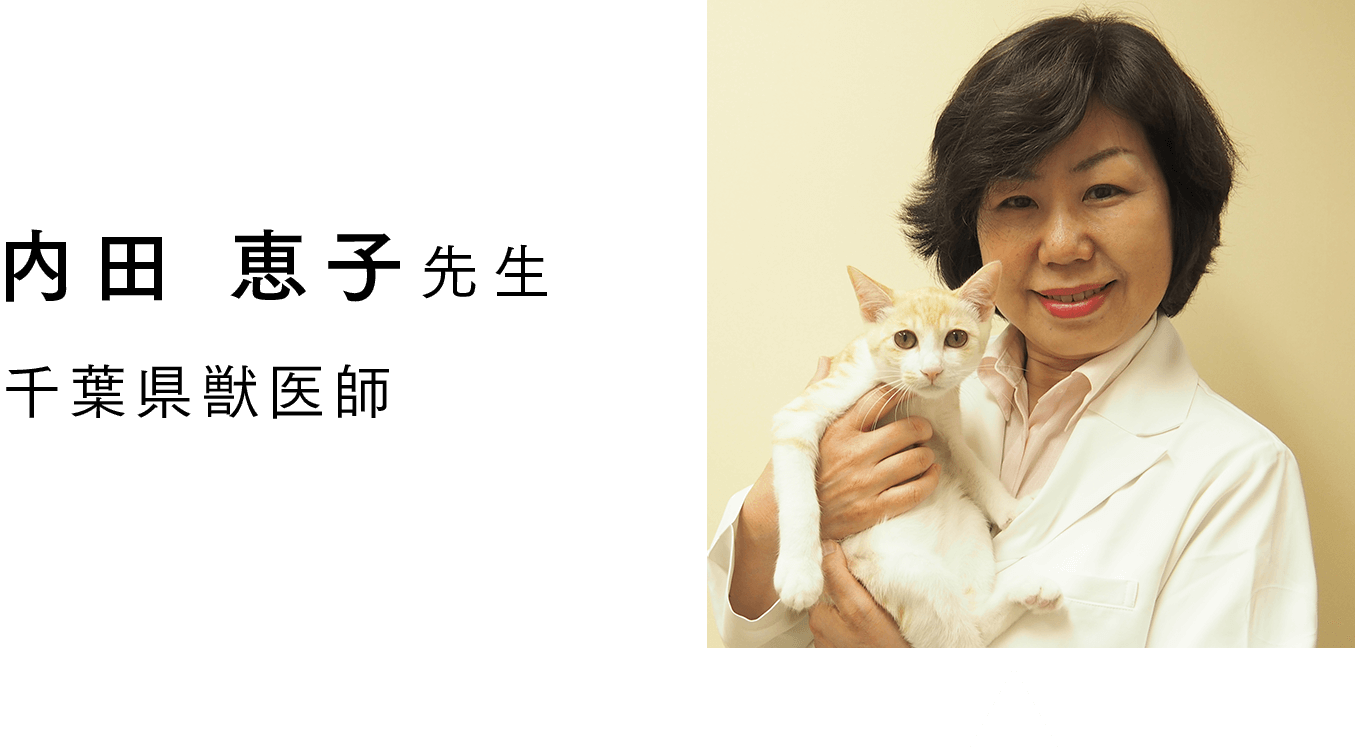 ニャンともサポーターズ お祝いメッセージ ニャンとも清潔トイレ 猫用システムトイレ 花王株式会社 ニャンともサポーターズ お祝いメッセージ ニャンとも清潔トイレ 猫用システムトイレ 花王株式会社