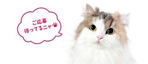 ニャンとも公認ニャンバサダー募集│ニャンとも清潔トイレ 猫用