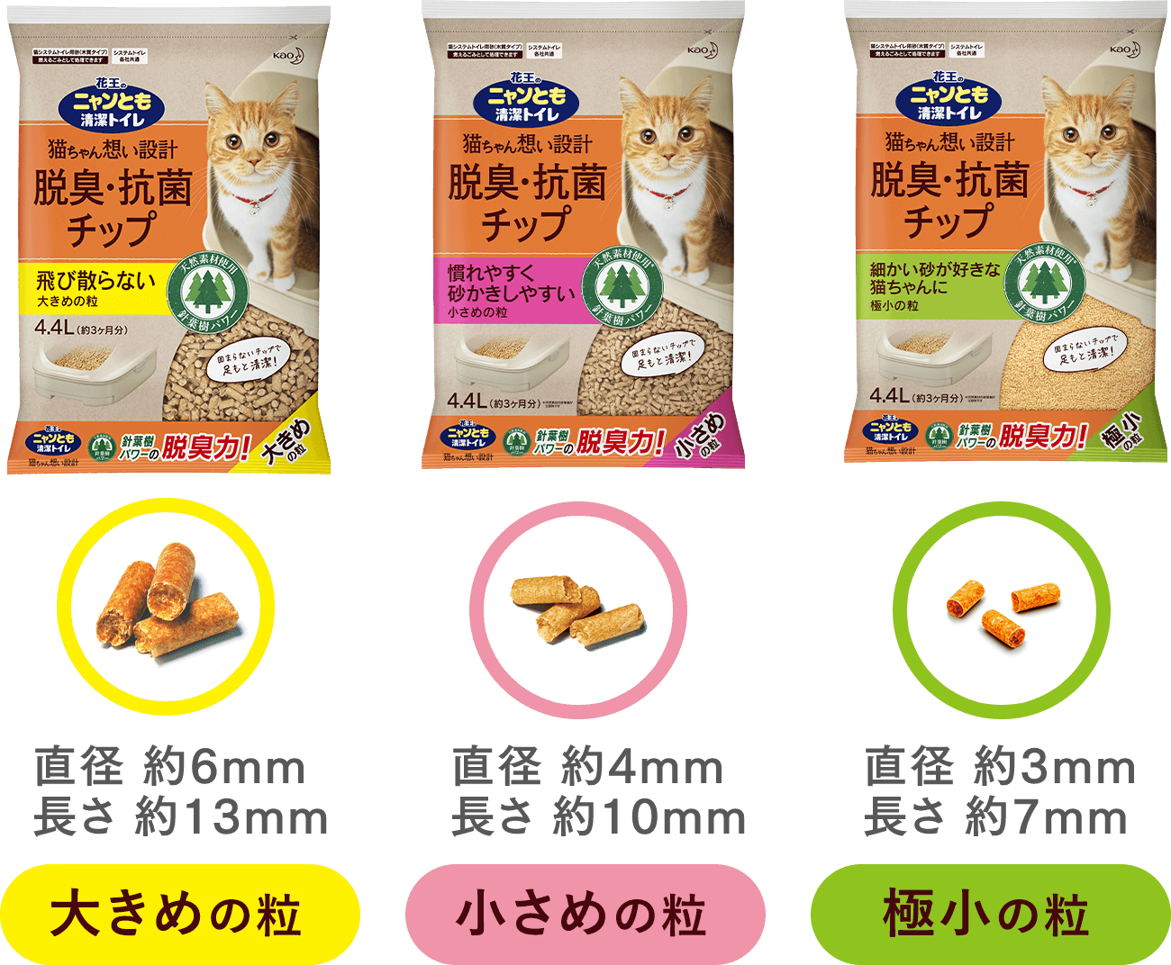 猫トイレ切り替えのコツ ニャンとも清潔トイレ 猫用システムトイレ 花王株式会社 猫トイレ切り替えのコツ ニャンとも清潔トイレ 猫用システムトイレ 花王株式会社