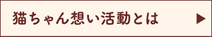 猫ちゃん想い活動とは