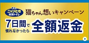 猫ちゃん想いキャンペーン　7日間で慣れなかったら全額返金