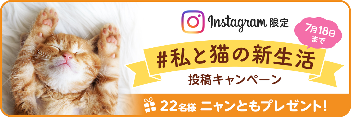 猫用システムトイレ ニャンとも清潔トイレ 公式サイト 花王株式会社