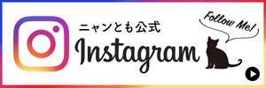 ニャンとも公式Instagram フォロー