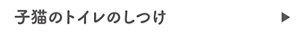子猫のトイレのしつけ