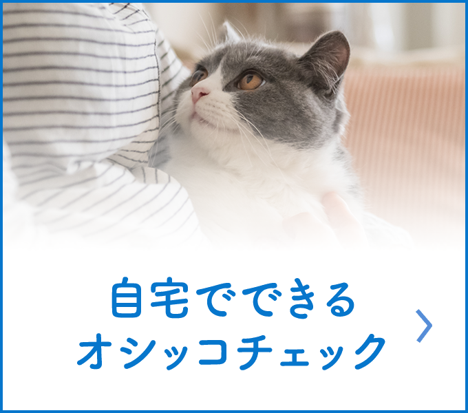 猫用システムトイレ ニャンとも清潔トイレ 公式サイト 花王株式会社 猫用システムトイレ ニャンとも清潔トイレ 公式サイト 花王株式会社