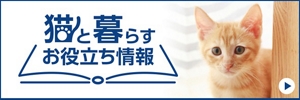 猫と暮らすお役立ち情報