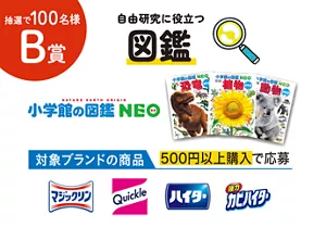 B賞：抽選で100名様 自由研究に役立つ図鑑。対象ブランドの商品500円以上購入で応募