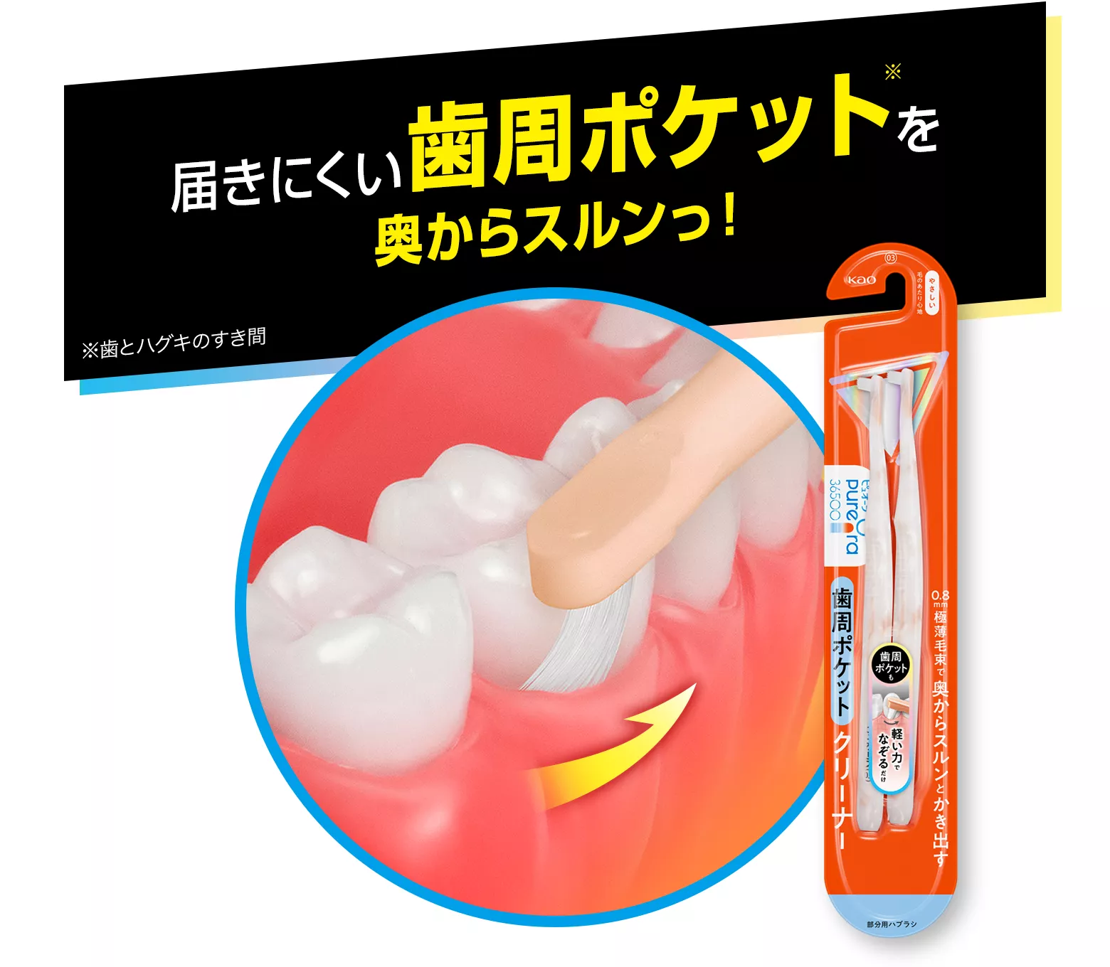 花王株式会社 | 【公式】ピュオーラ | 36500ハブラシ