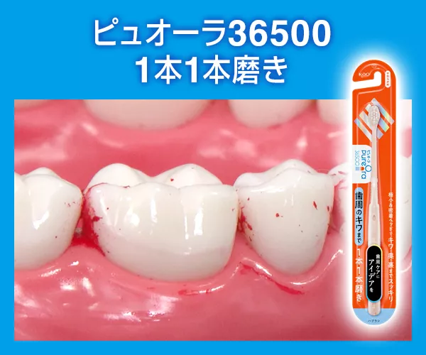 グチです。 花王株式会社 | 【公式】ピュオーラ | 36500ハブラシ