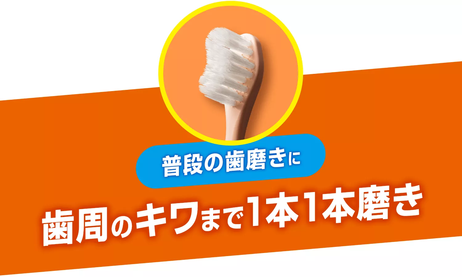 グチです。 花王株式会社 | 【公式】ピュオーラ | 36500ハブラシ