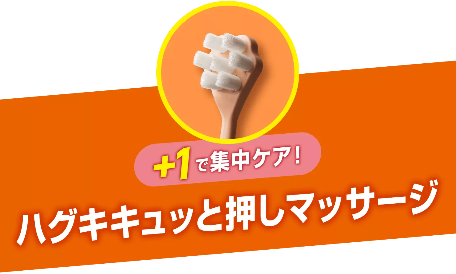 花王株式会社 | 【公式】ピュオーラ | 36500ハブラシ