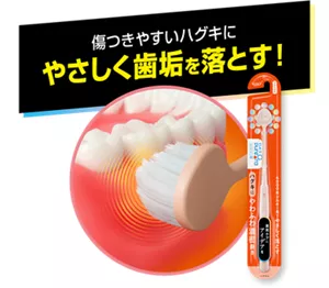 傷つきやすいハグキにやさしく歯垢を落とす！