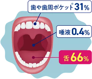 歯や歯周ポケット(※) 31%／唾液 0.4%／舌 66%