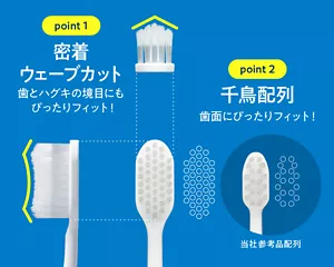 point 1 密着ウェーブカット：歯とハグキの境目にもぴったりフィット！／point 2 千鳥配列：歯面にぴったりフィット！