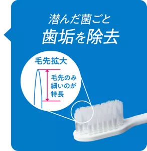 潜んだ菌ごと歯垢を除去。毛先のみ細いのが特長