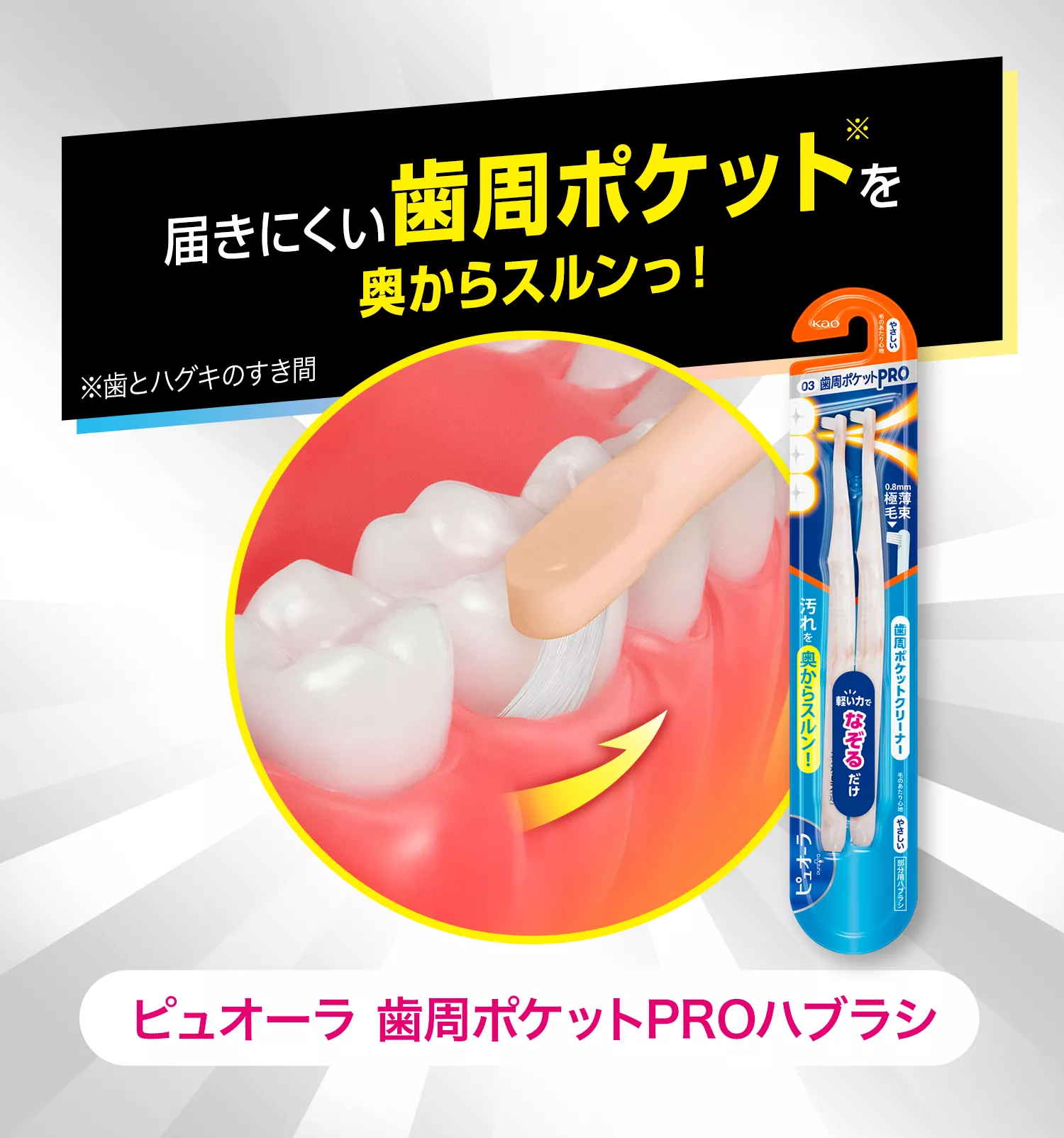 花王株式会社 | 【公式】ピュオーラ | 1本磨きPROハブラシ/歯周