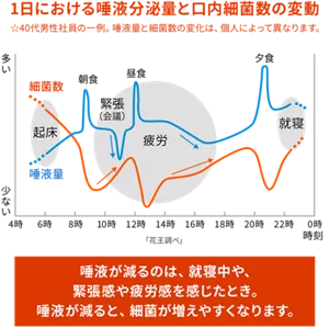 1日における唾液分泌量と口内細菌数の変動（40代男性社員の一例。唾液量と細菌数の変化は、個人によって異なります。）唾液が減るのは、就寝中や、緊張感や疲労感を感じたとき。唾液が減ると、細菌が増えやすくなります。
