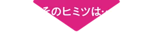 そのヒミツは…