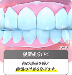 殺菌成分CPC：菌の増殖を抑え歯垢の付着を防ぎます。