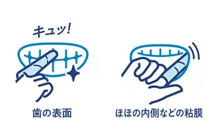 歯の表面／ほほの内側などの粘膜