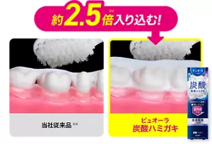 約2.5倍(※4)入り込む！
