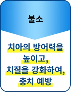 불소: 치아의 방어력을 높이고, 치질을 강화하여, 충치 예방