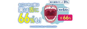 お口の中の菌は実は舌に66%(※1)も！（※1 口内の菌を採取して調査。20〜40代男女5名。花王調べ）