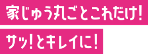 家じゅう丸ごとこれだけ！サッ！とキレイに！