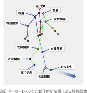 マーカーレス3次元動作解析装置による解析画像