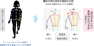 歩行時の身体の横揺れの例(右足に体重がかかっている瞬間)を見ると、吸収体が厚いほど身体のふらつきが大きいことを示した図