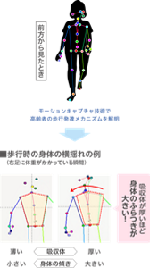 歩行時の身体の横揺れの例(右足に体重がかかっている瞬間)を見ると、吸収体が厚いほど身体のふらつきが大きいことを示した図