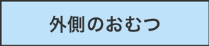 外側のおむつ