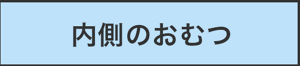内側のおむつ