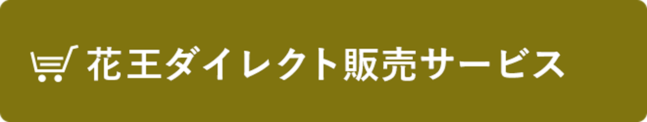 花王株式会社 ブローネ リライズ ご購入はこちら