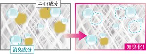 汗・皮脂臭 ニオイを根本から消臭イメージ